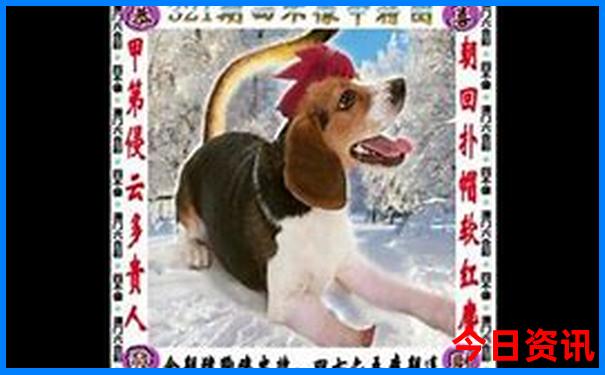 暑假适合带孩子去哪里玩水